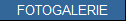 FOTOGALERIE